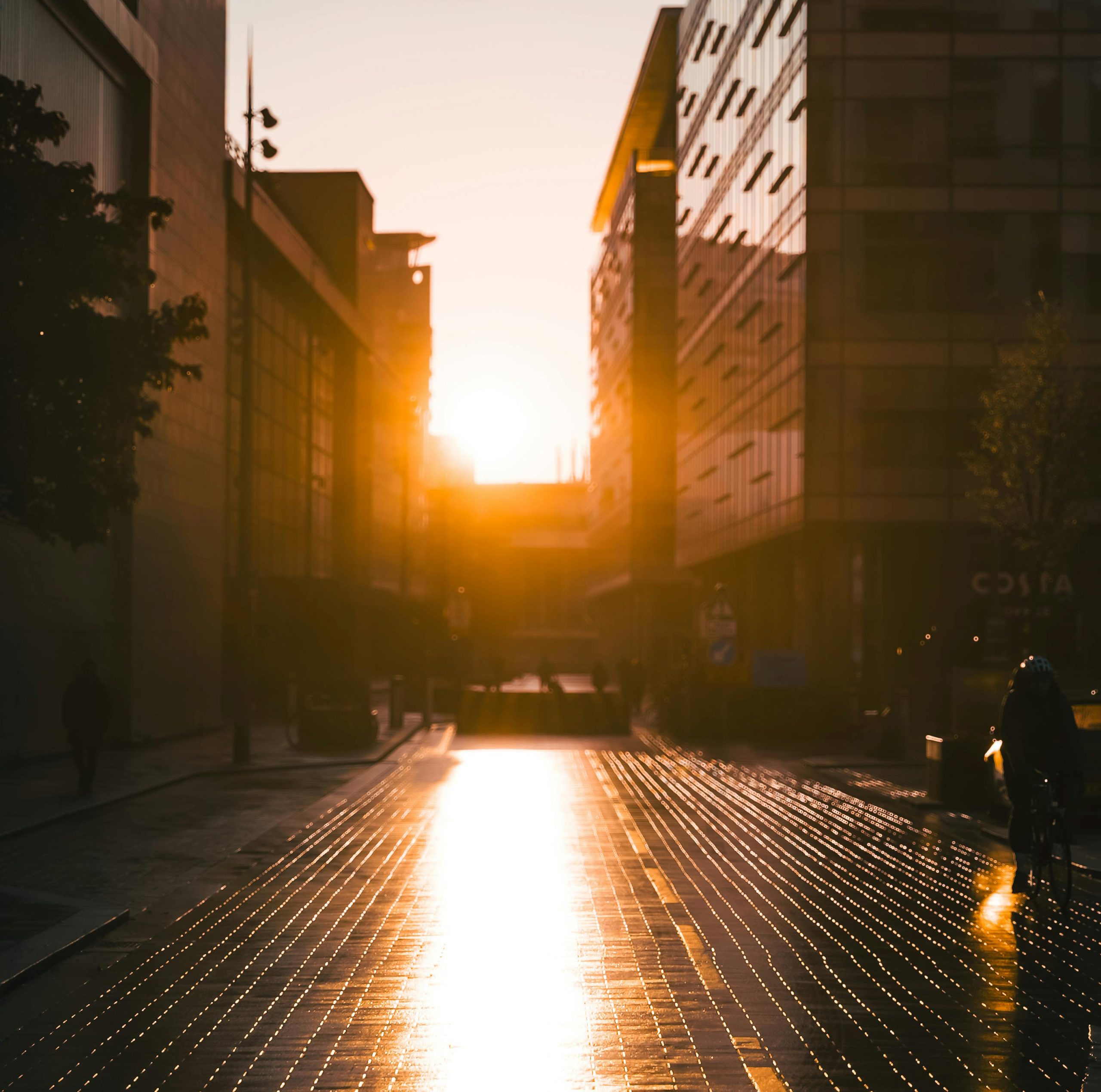 pexels-nathanjhilton-30675789 edd